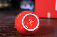2025 Yi Si Year Auspicious Wealth Hulu