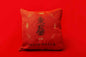 Artemisia Sleep Harmony Pillow (Traditional Chinese Medicine Night Rest Enhancer）
