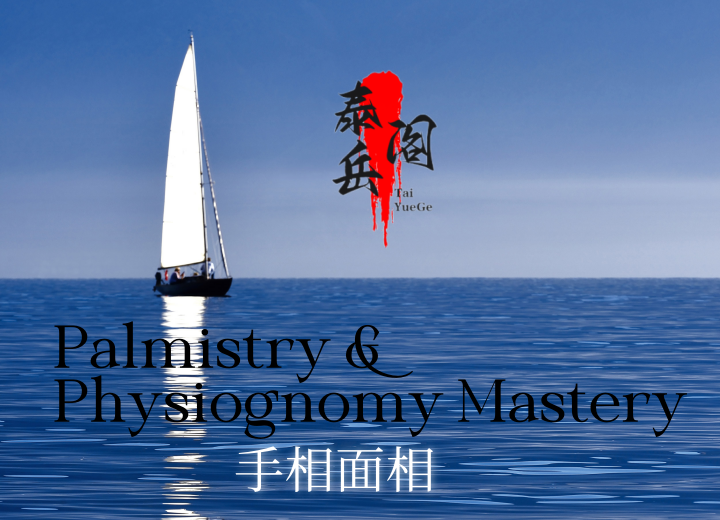 [Palmistry & Physiognomy Mastery Program] Inscripción Abierta 